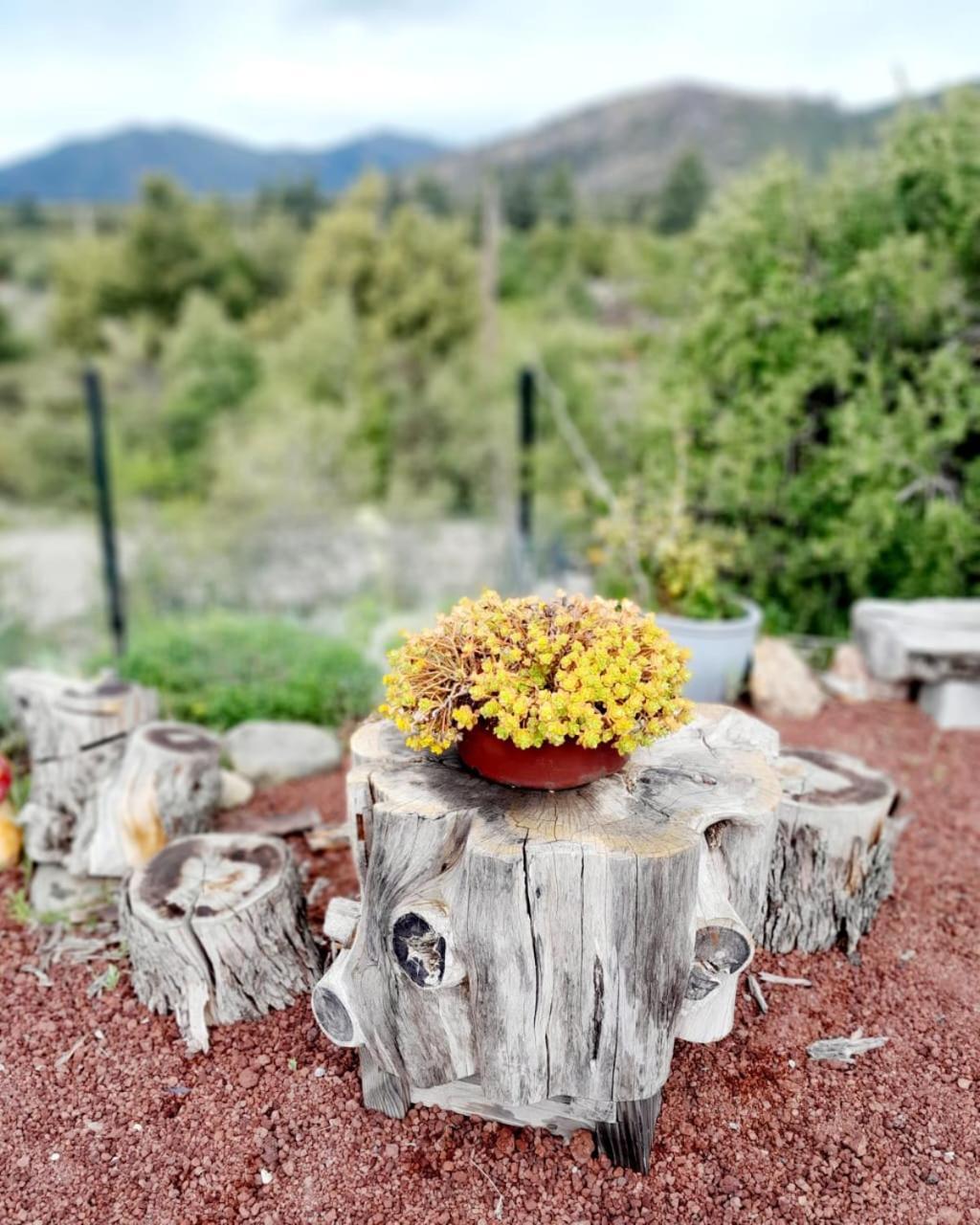 Casa A Estrenar Con Vistas Panoramicas A La Montana Y Quincho Con Parrilla Techada
